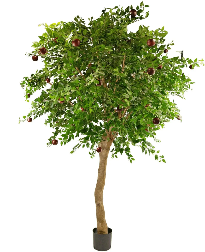 Miniatuur 1
