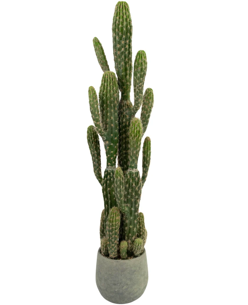 Miniatuur 1