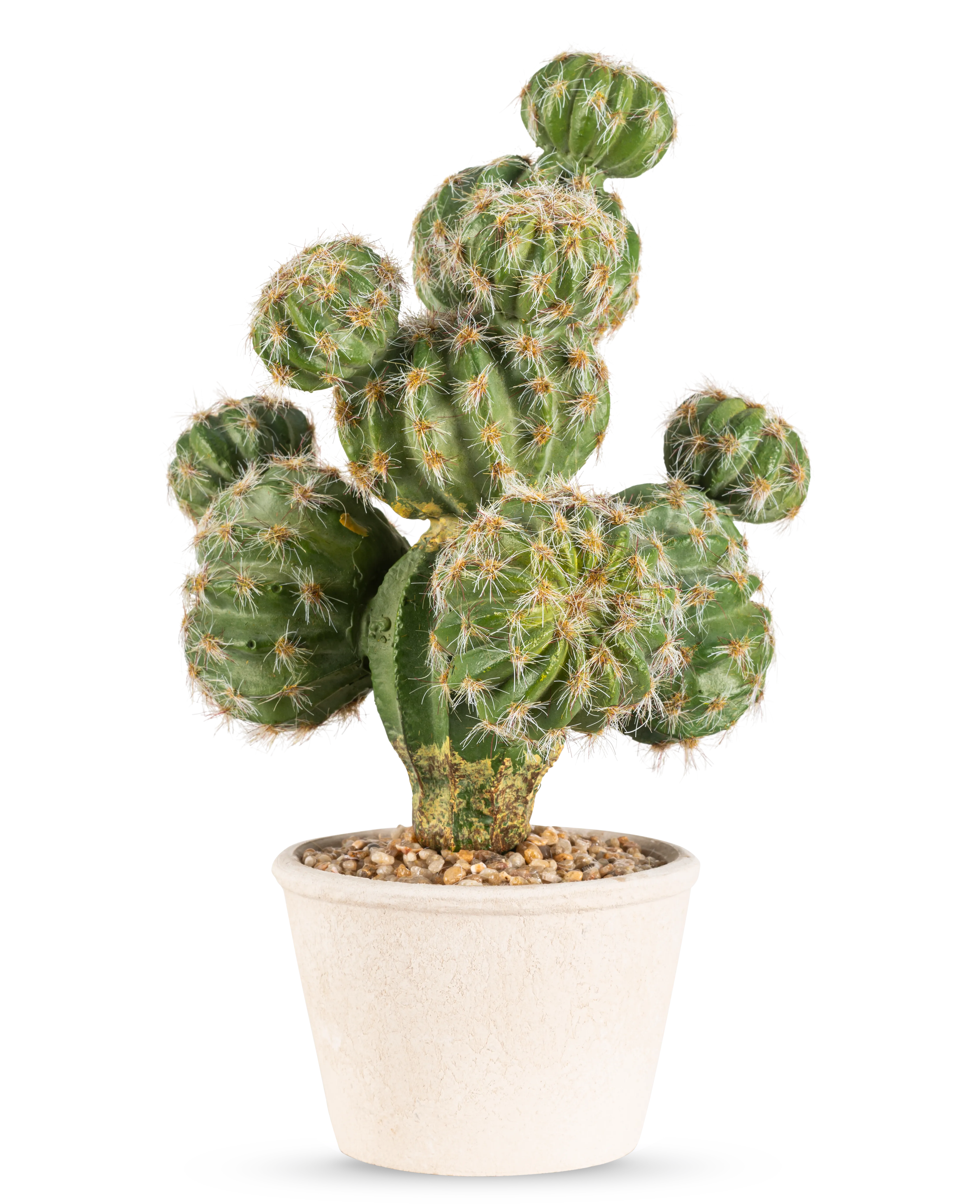 Miniatuur 1