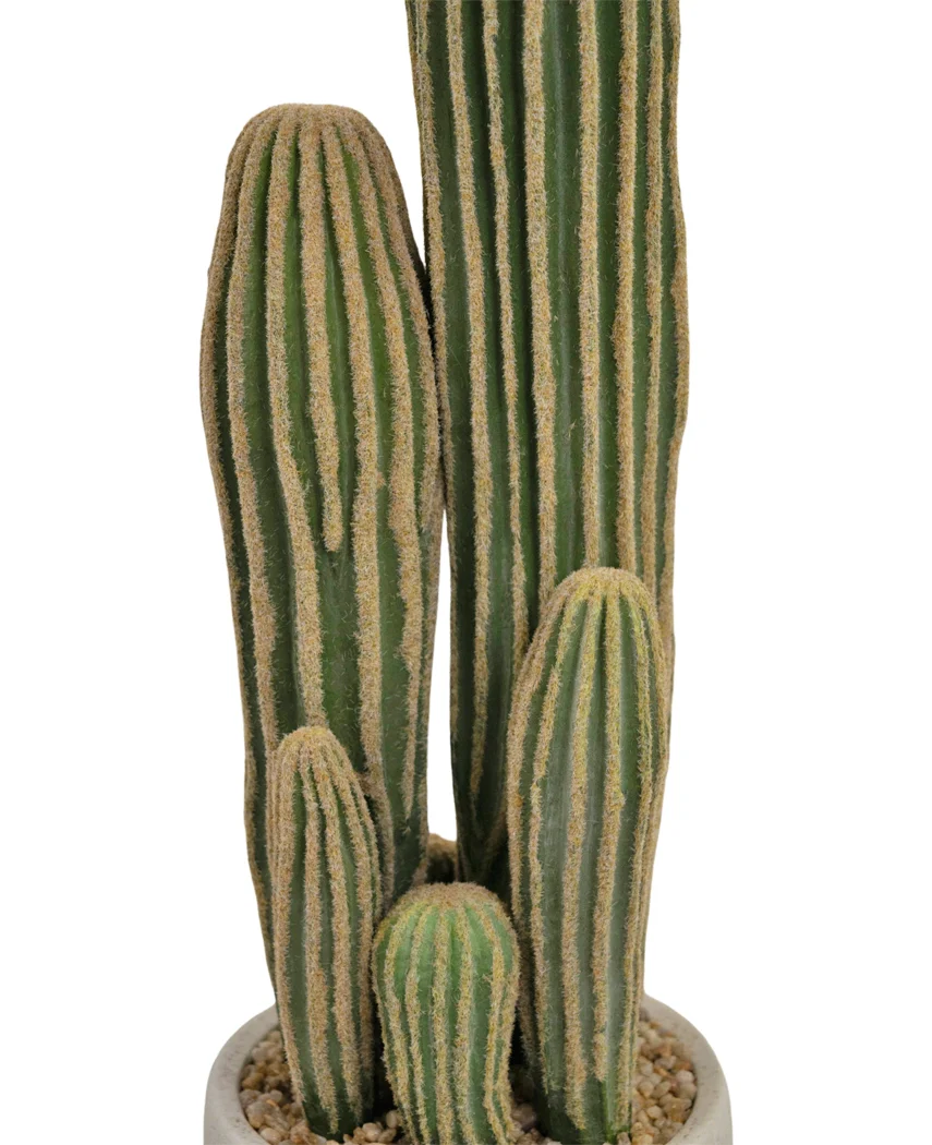 Miniatuur 2
