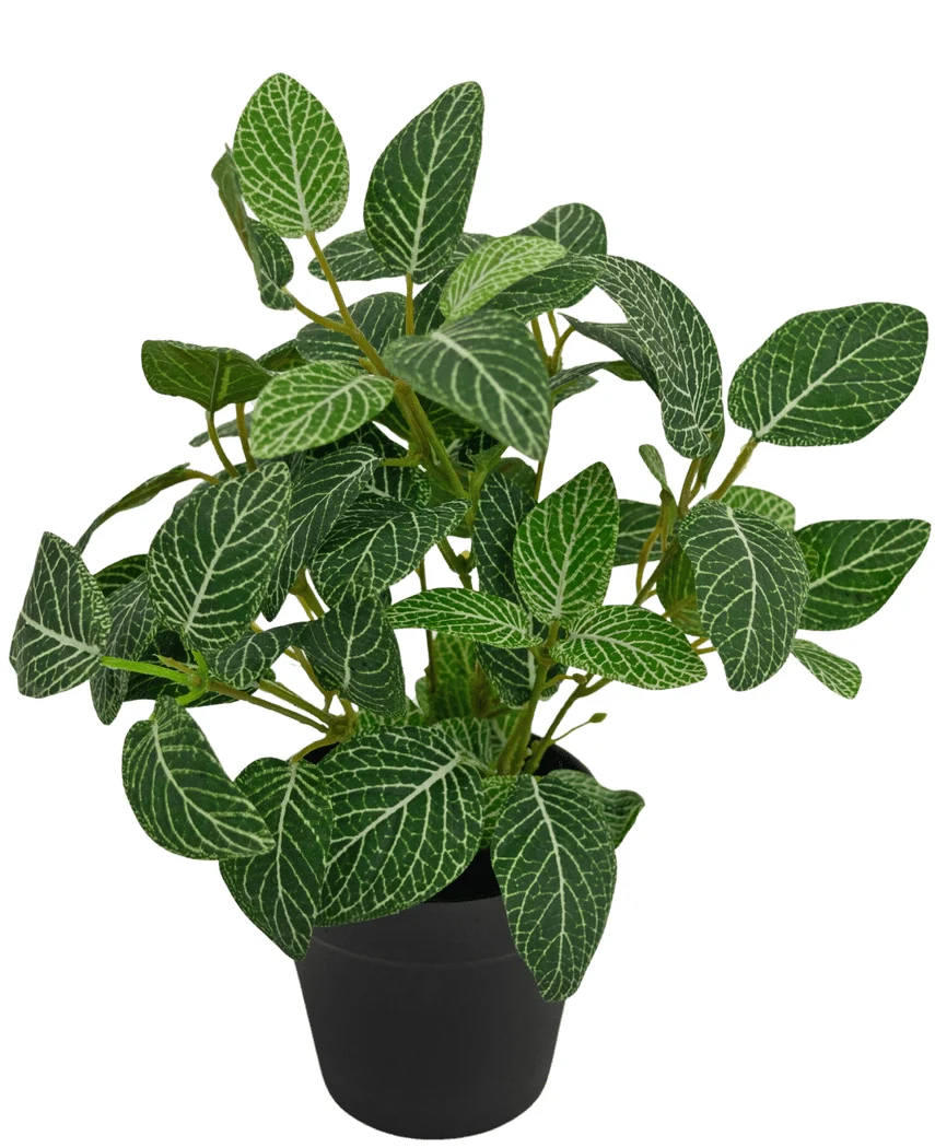 Miniatuur 1