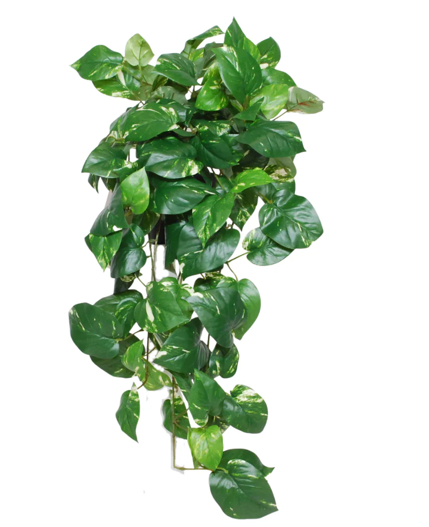 Miniatuur 1