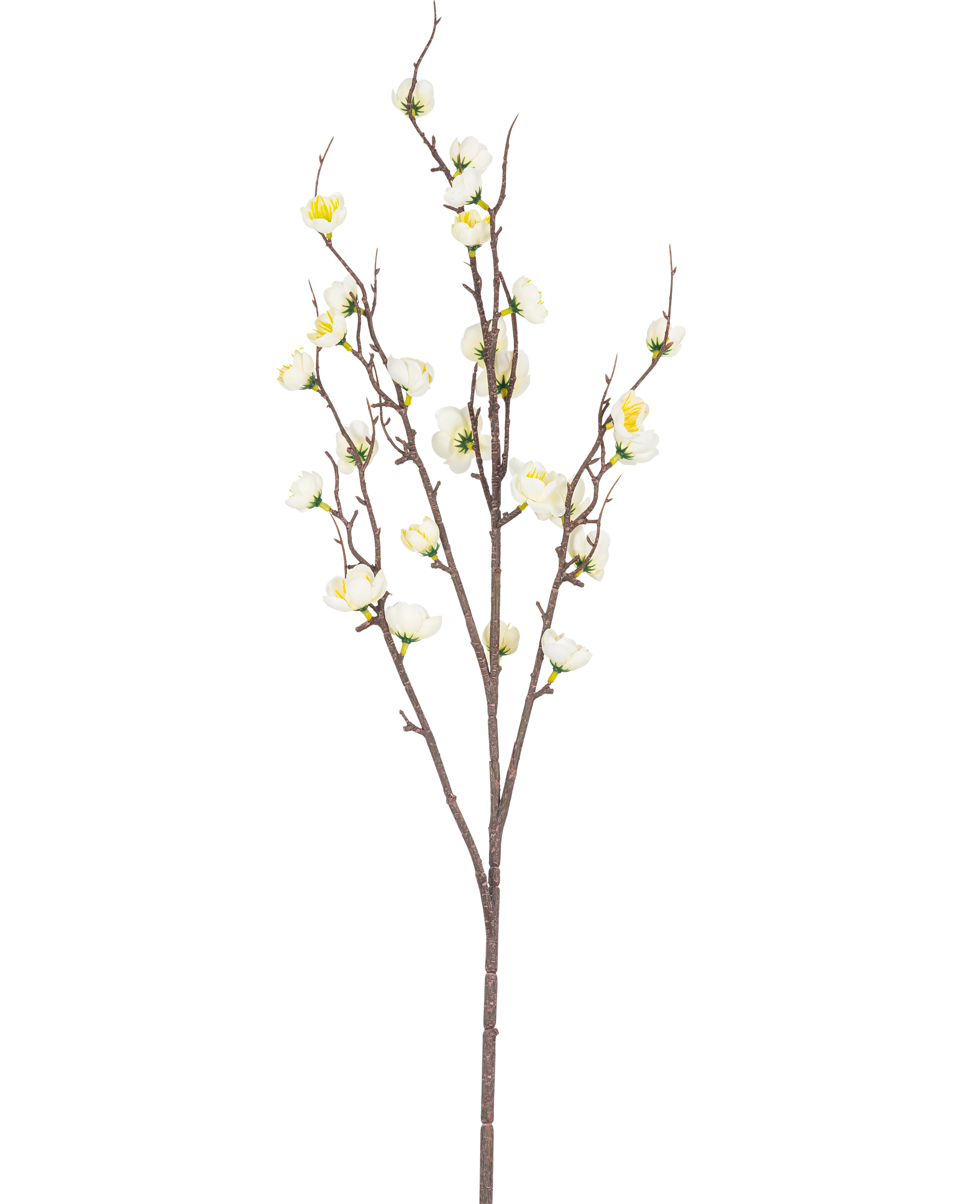 Miniatuur 1
