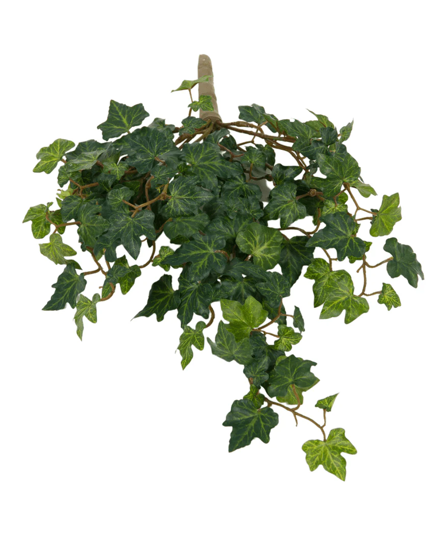 Miniatuur 2