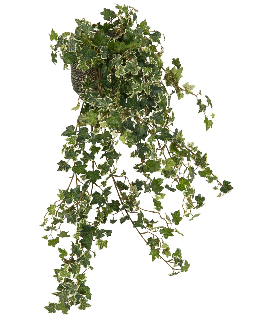 Miniatuur 2