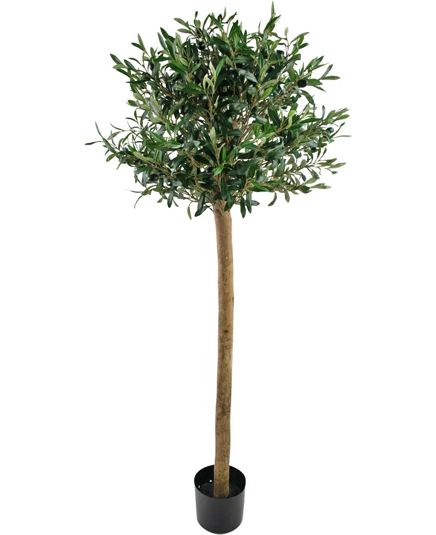 Miniatuur 1