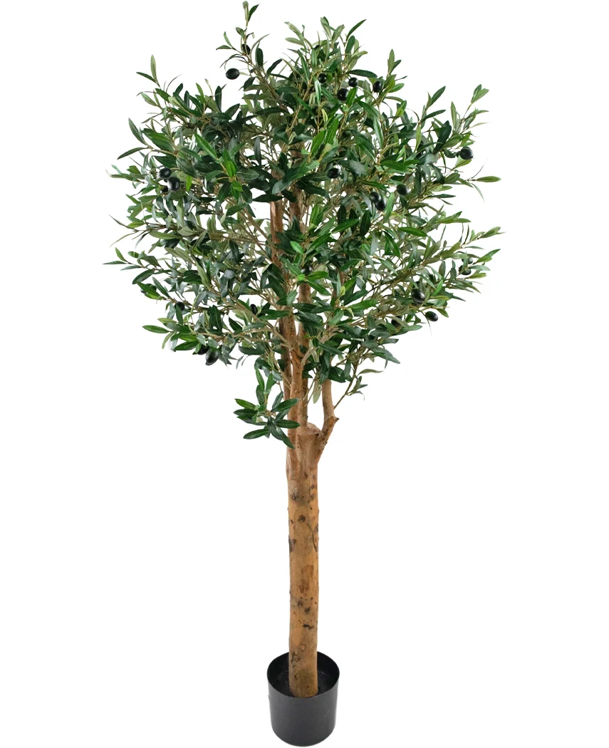 Miniatuur 1