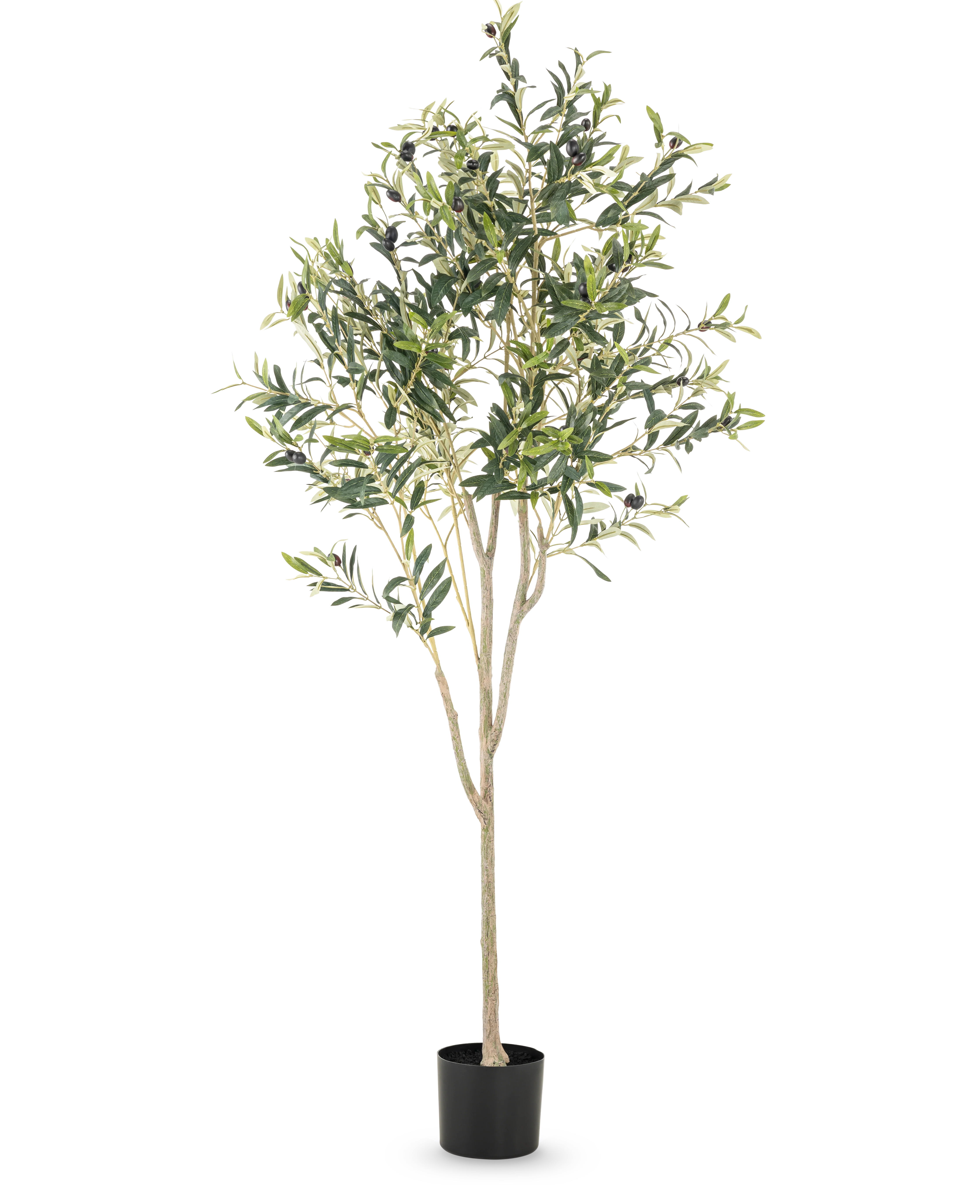 Miniatuur 1
