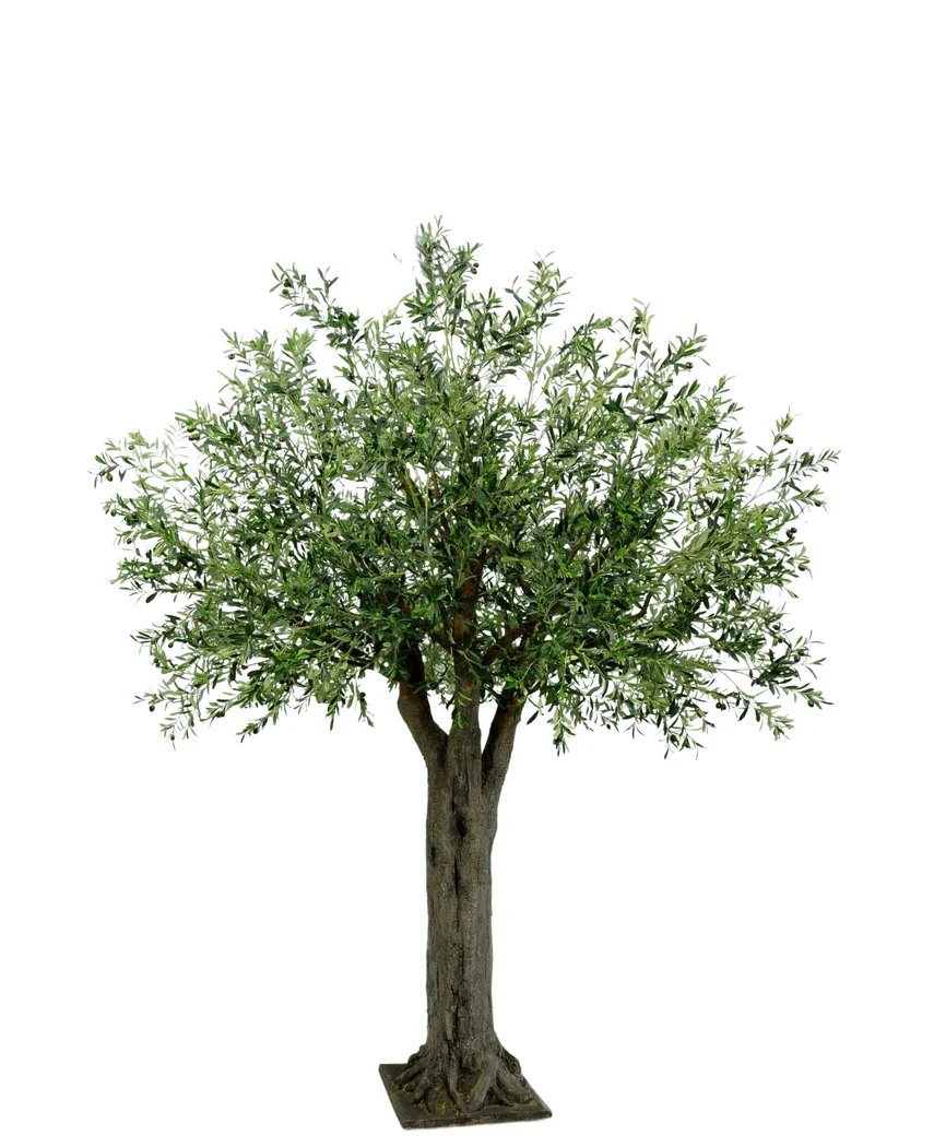 Miniatuur 1