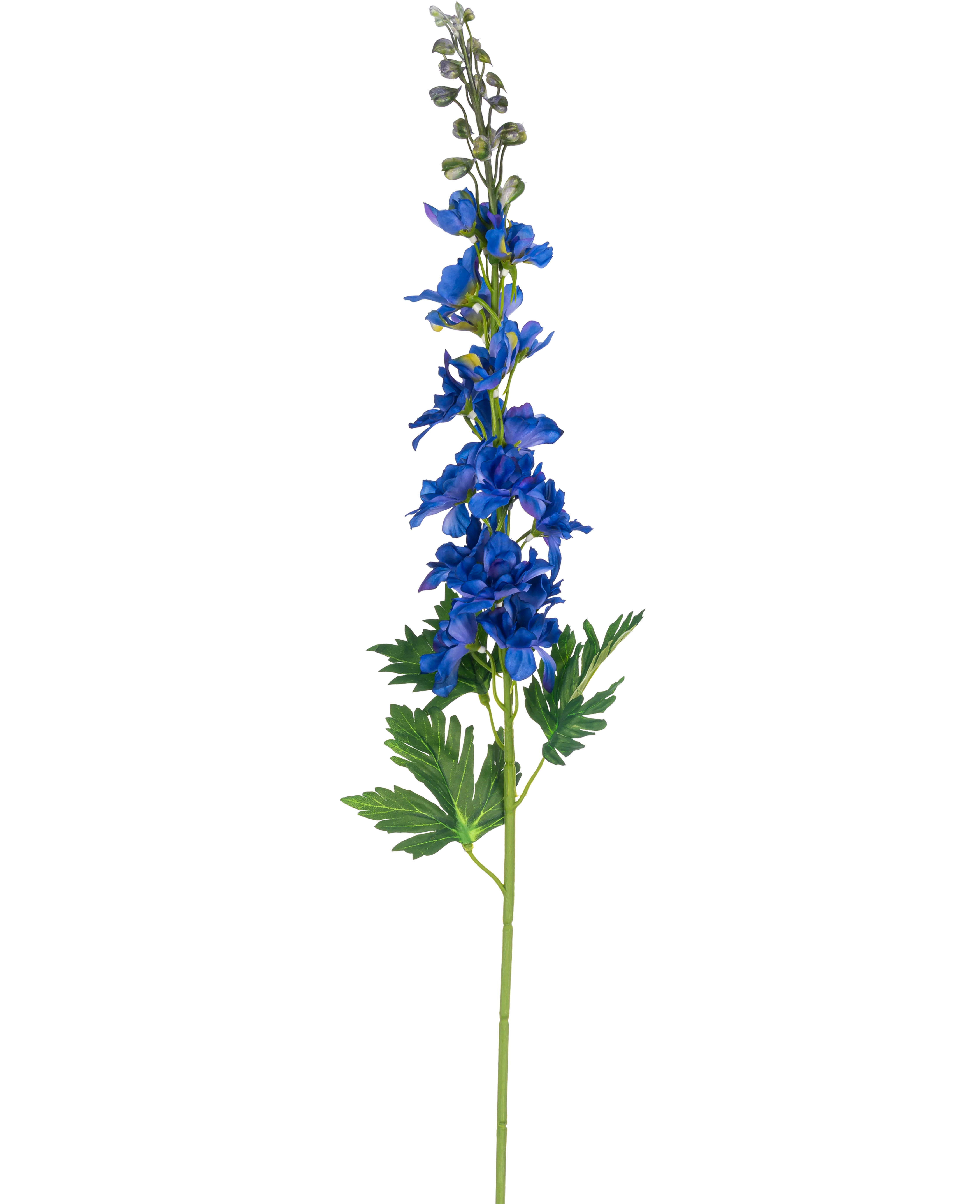 Miniatuur 1