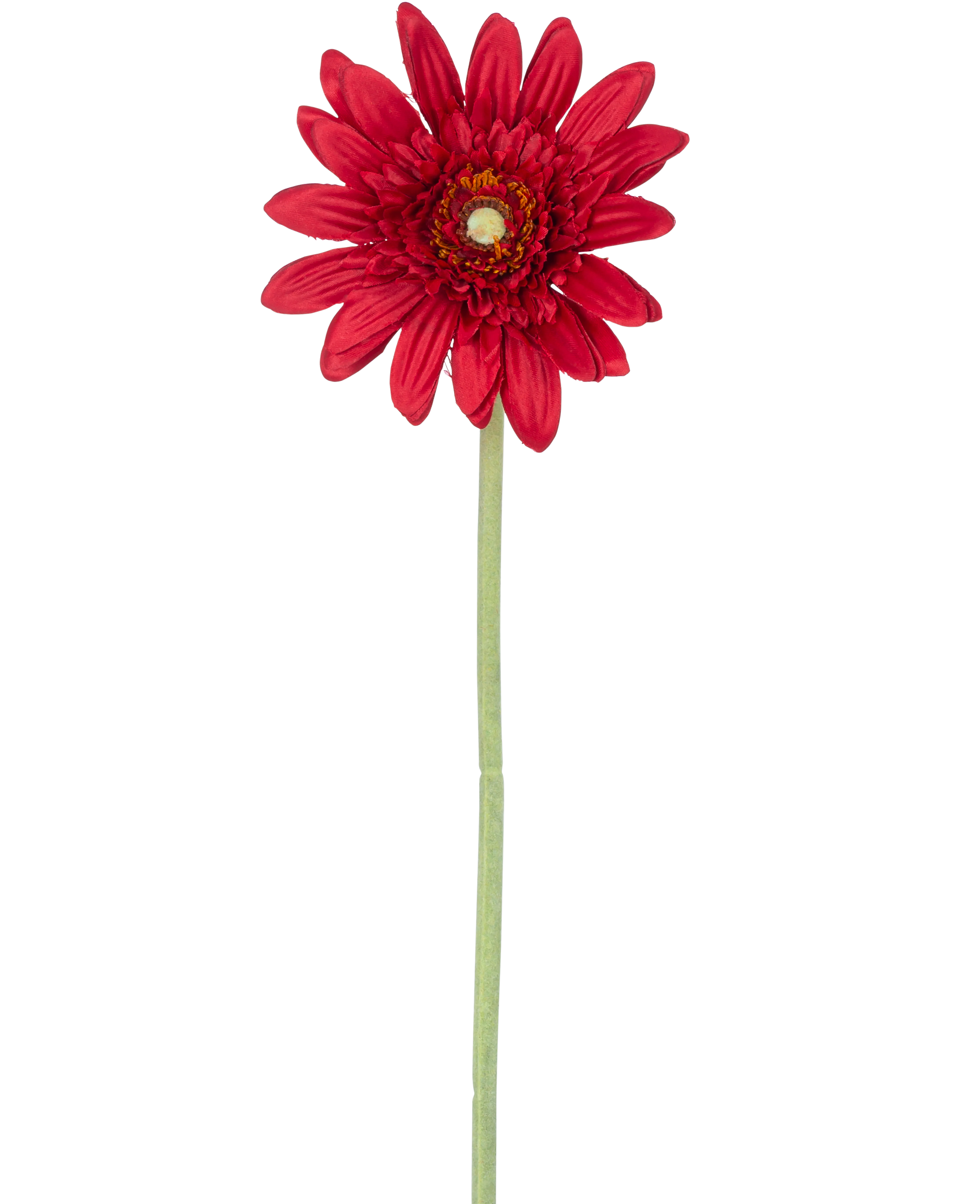 Miniatuur 1