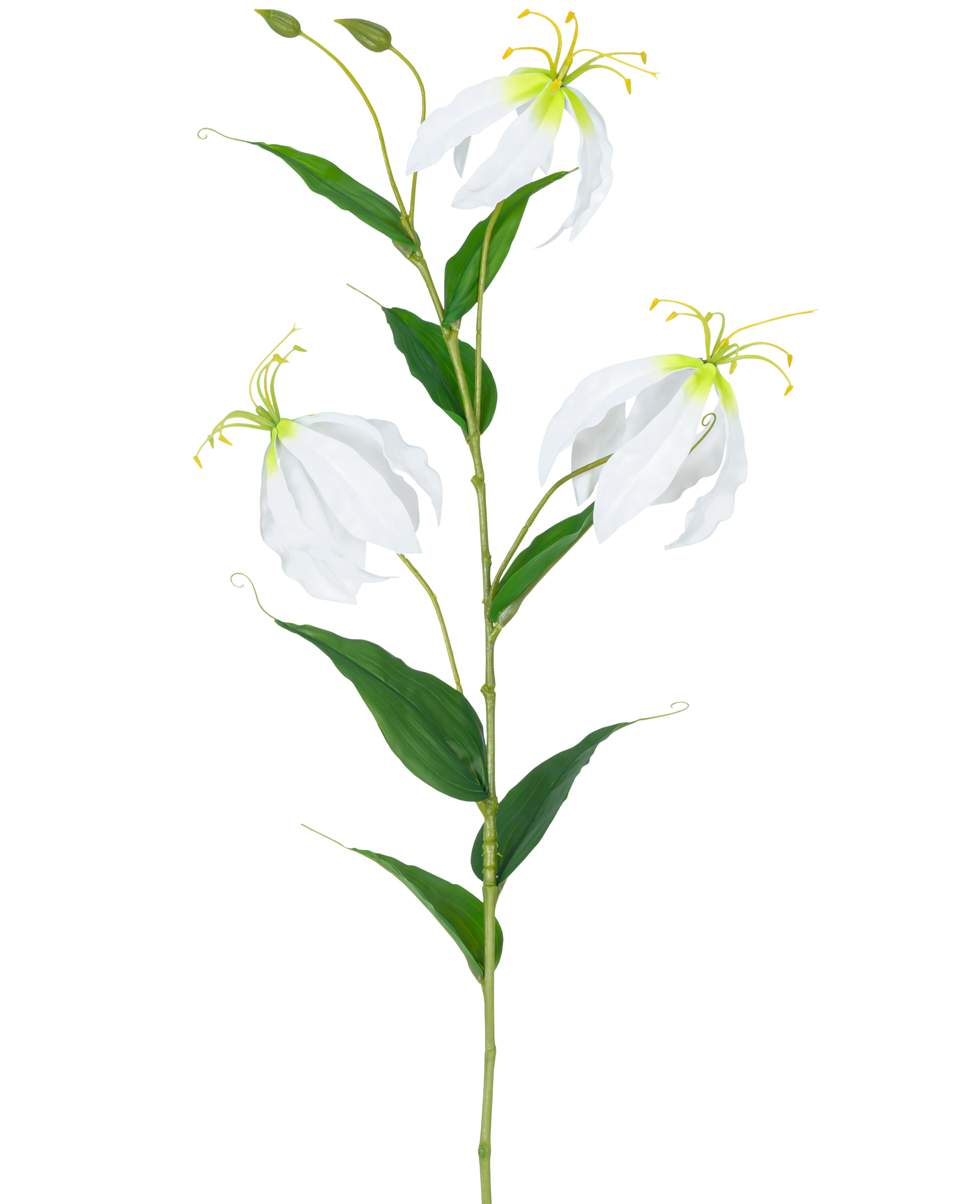 Miniatuur 1