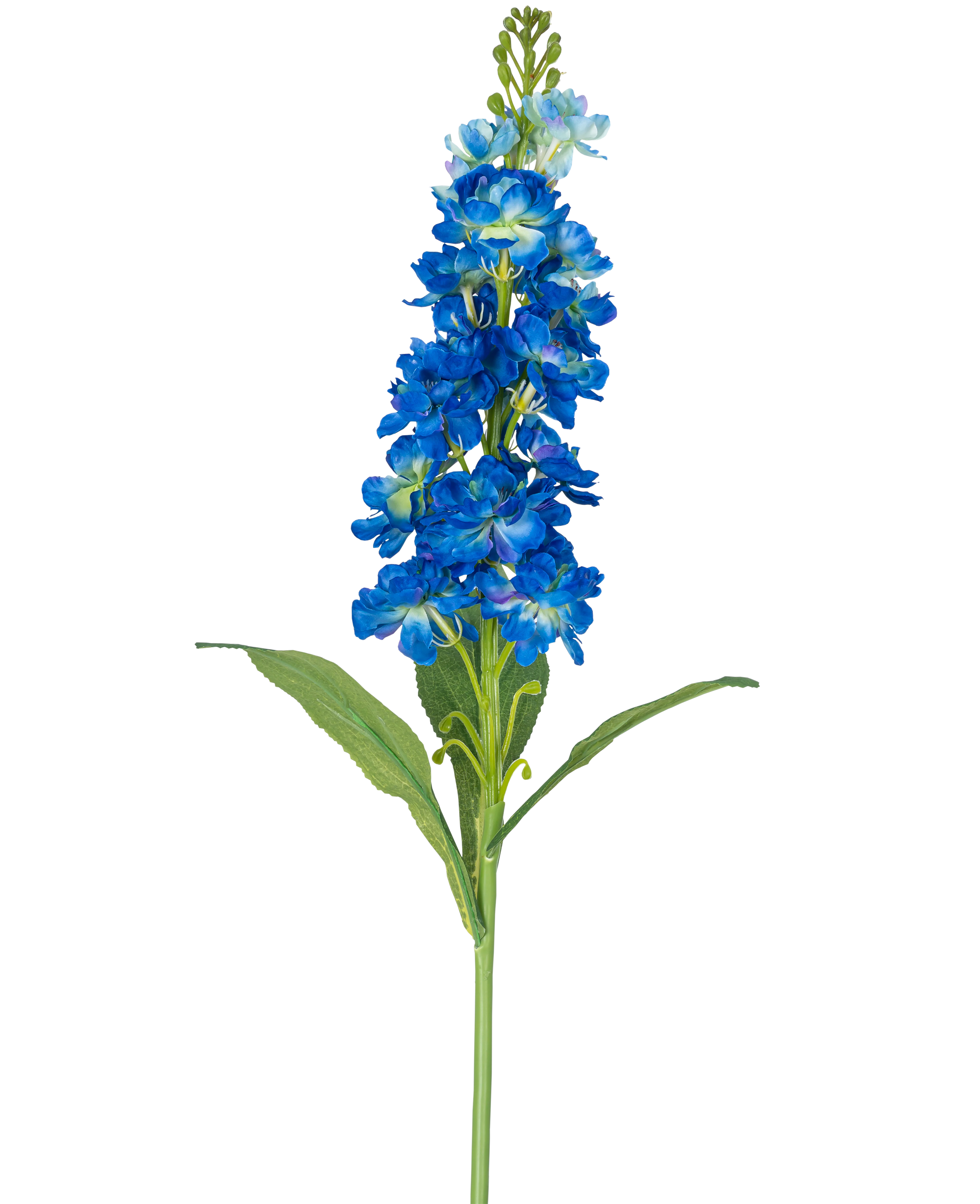 Miniatuur 1