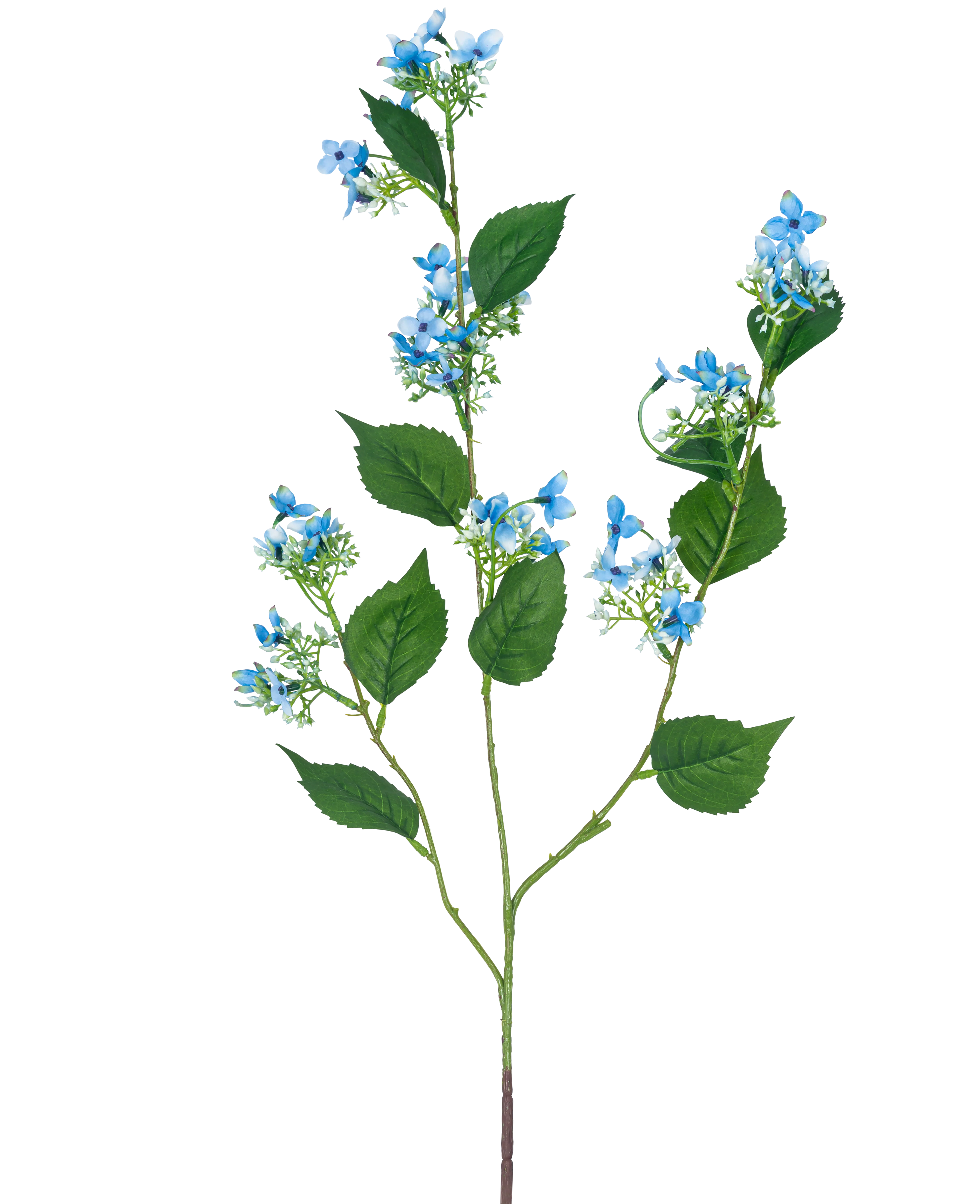 Miniatuur 1