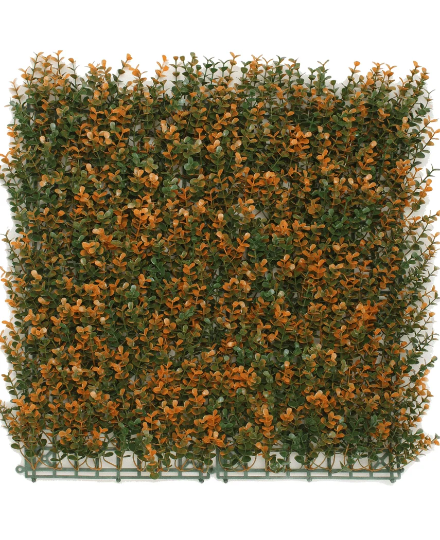 Miniatuur 1