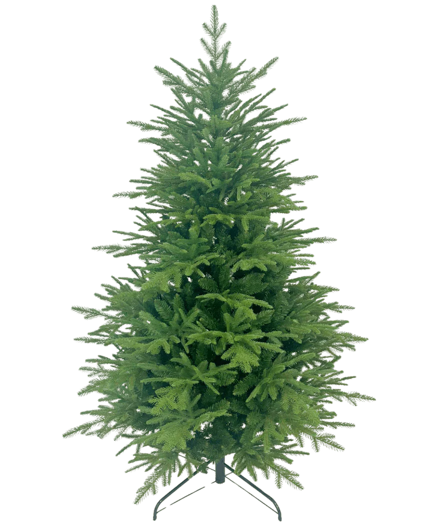 Miniatuur 1