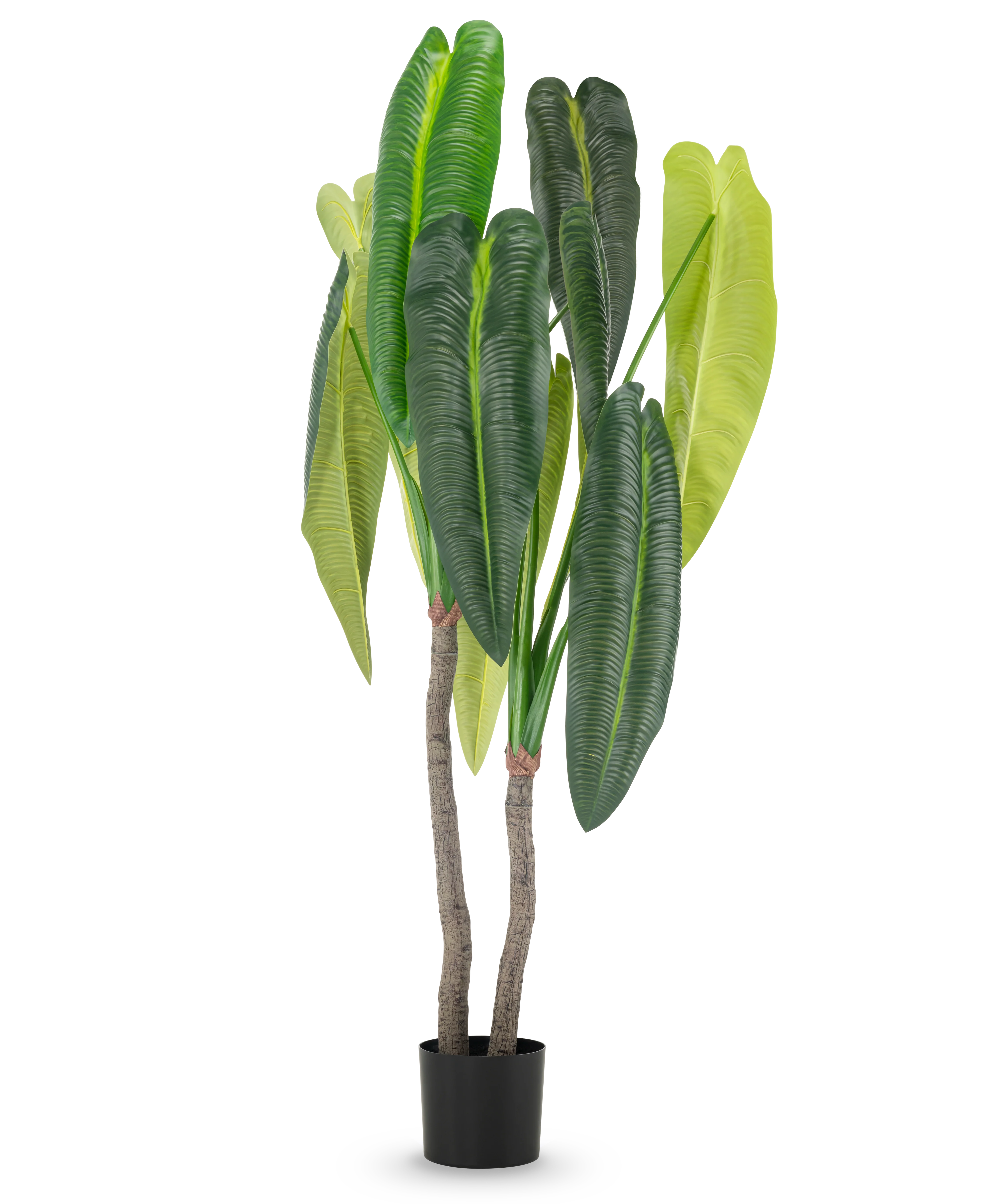 Productafbeelding 1
