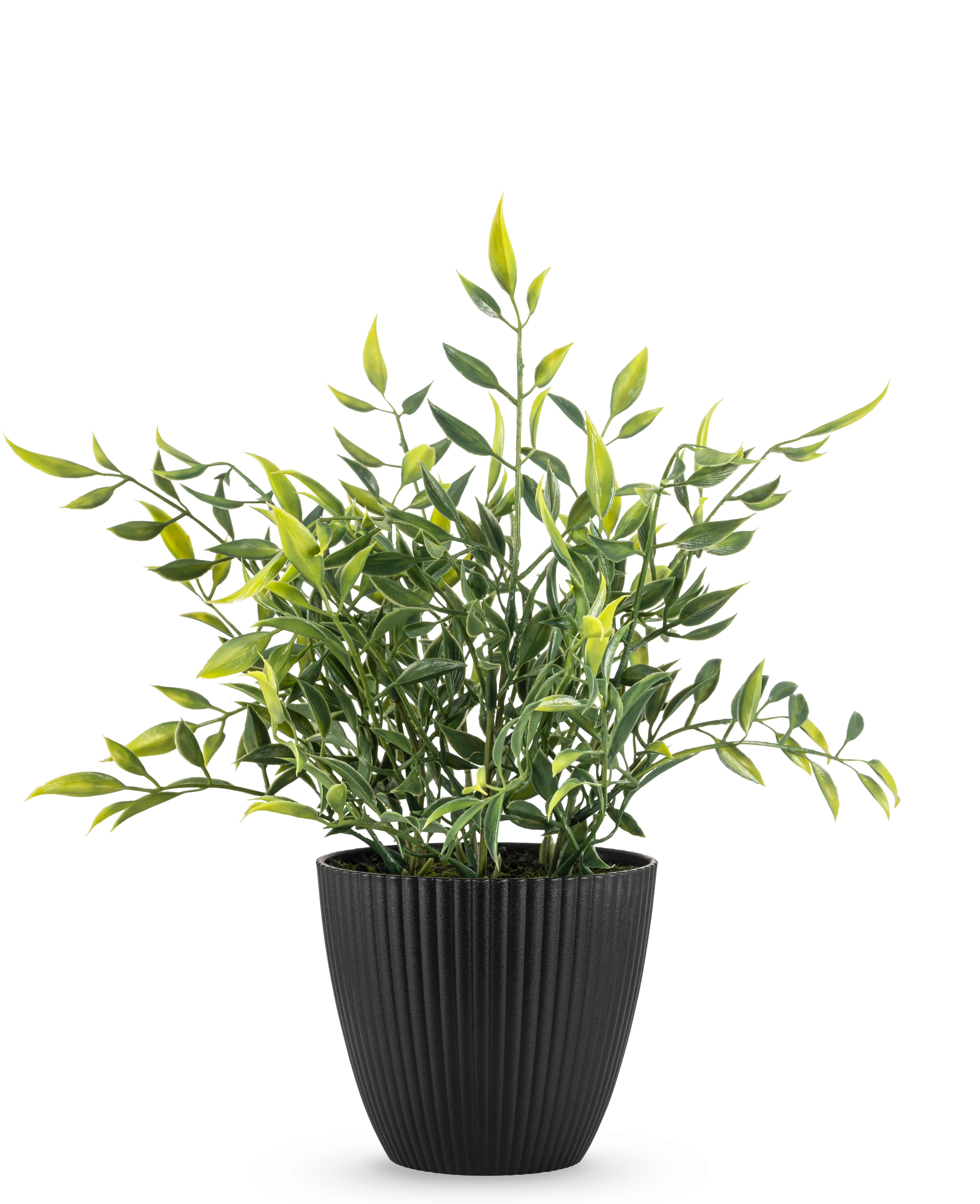 Miniatuur 1