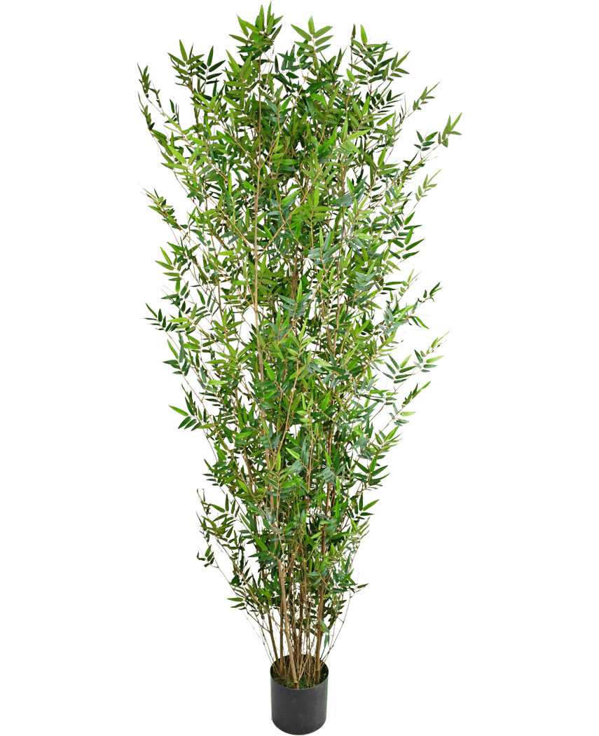Miniatuur 1