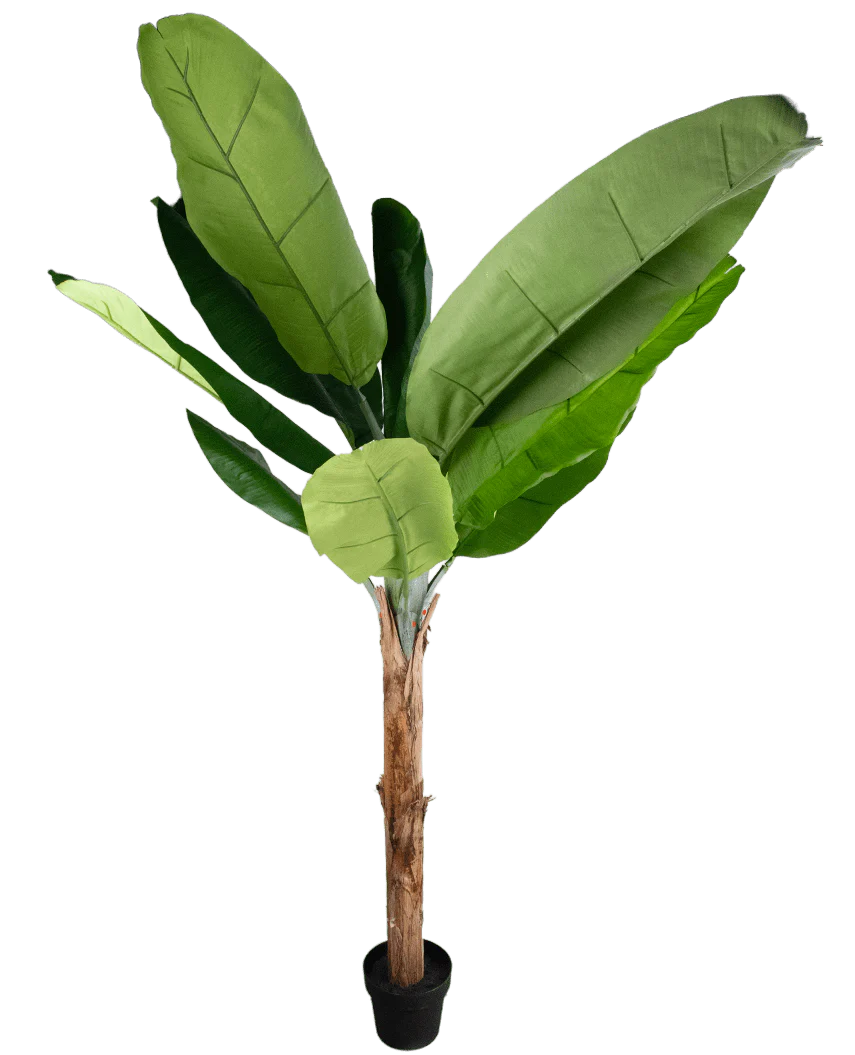 Productafbeelding 1