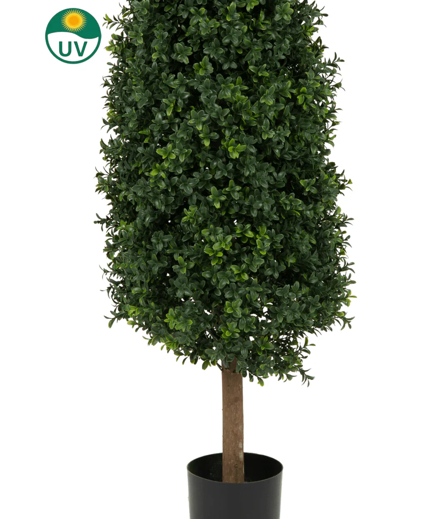 Productafbeelding 5
