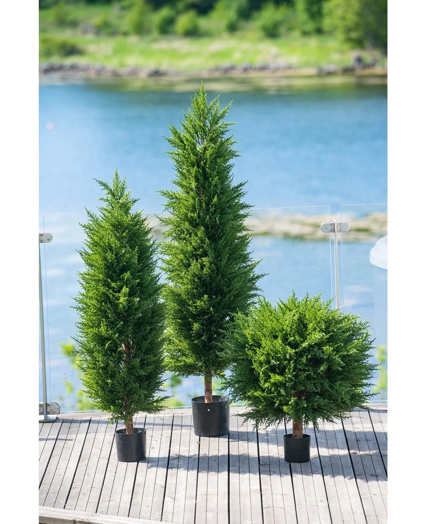 Miniatuur 2