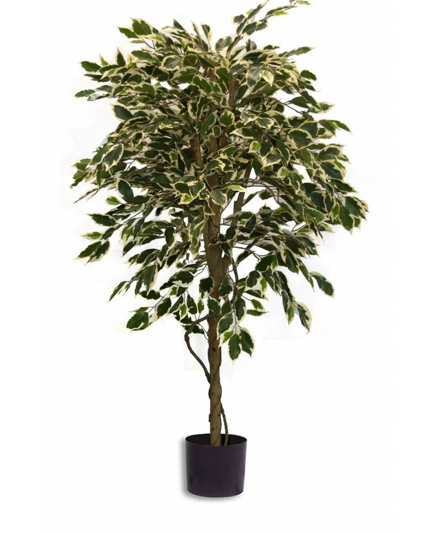 Miniatuur 1