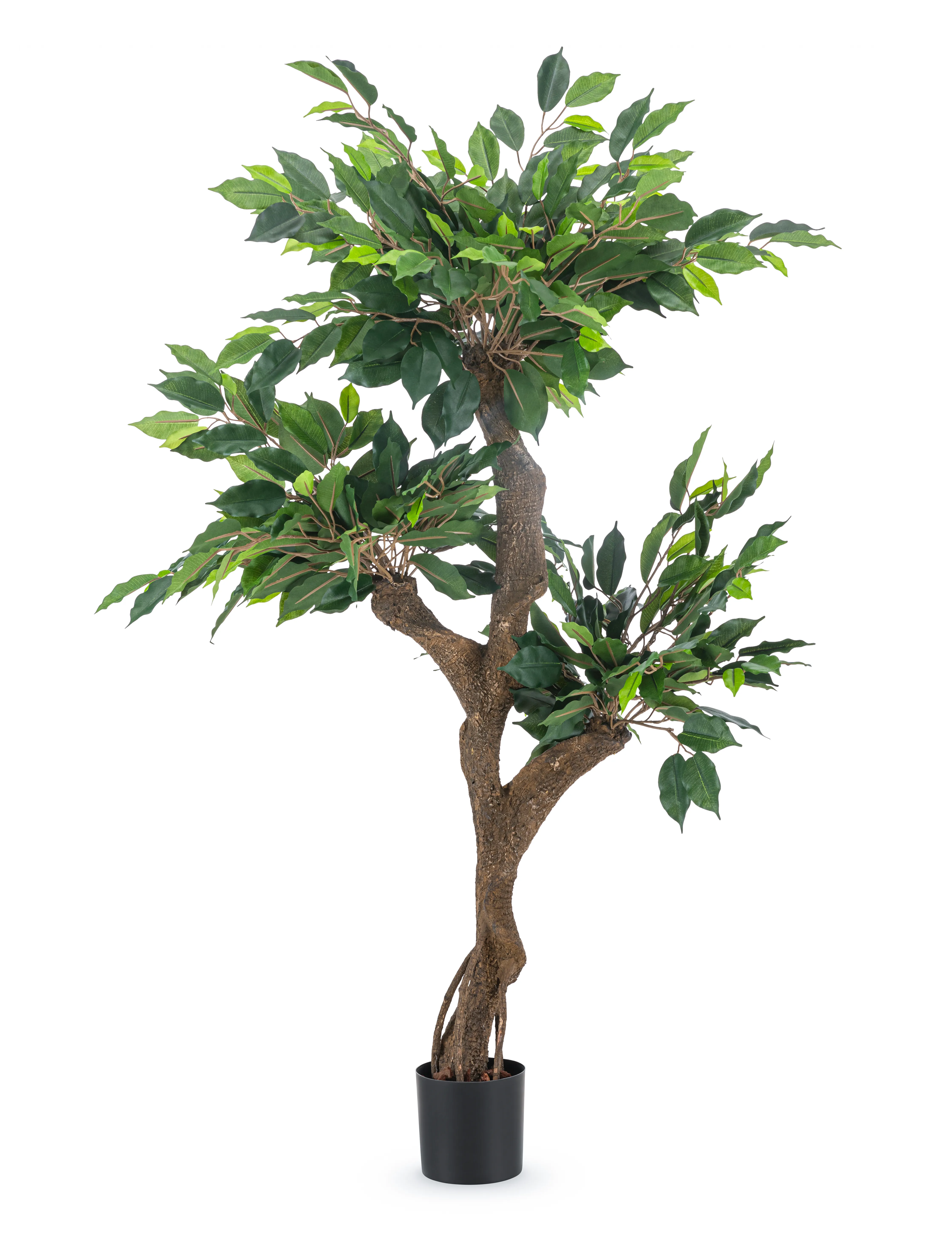 Miniatuur 1