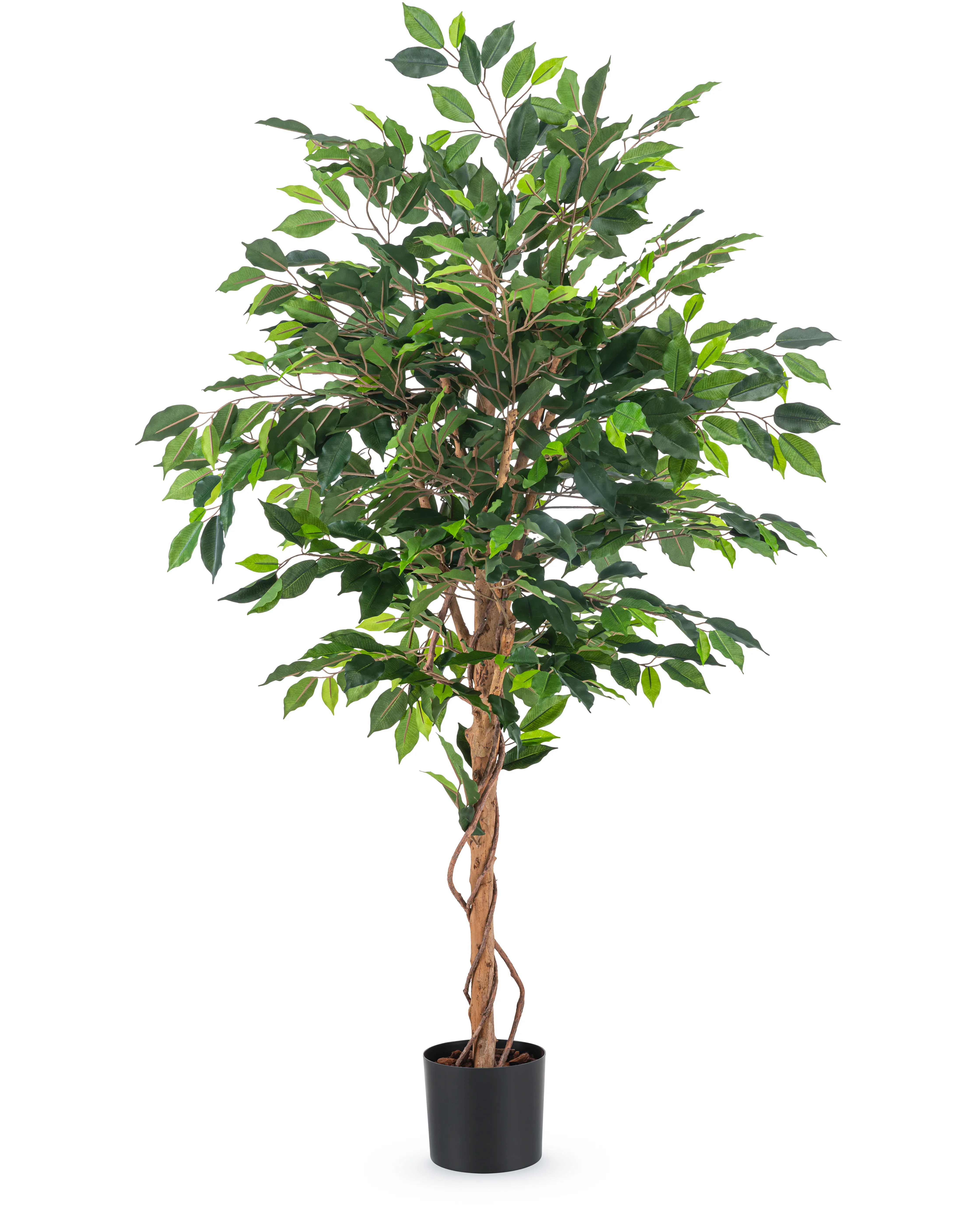 Miniatuur 1