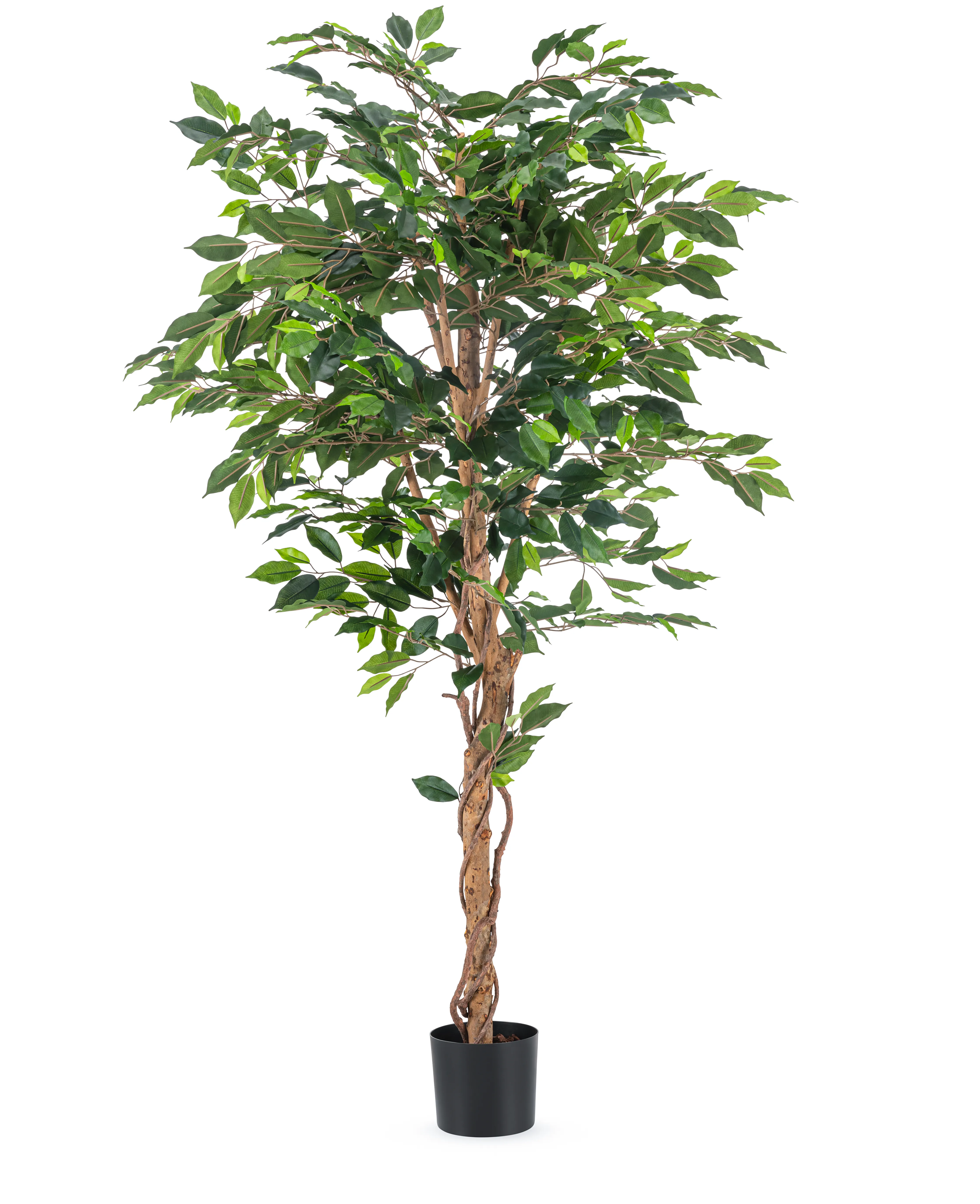 Miniatuur 1