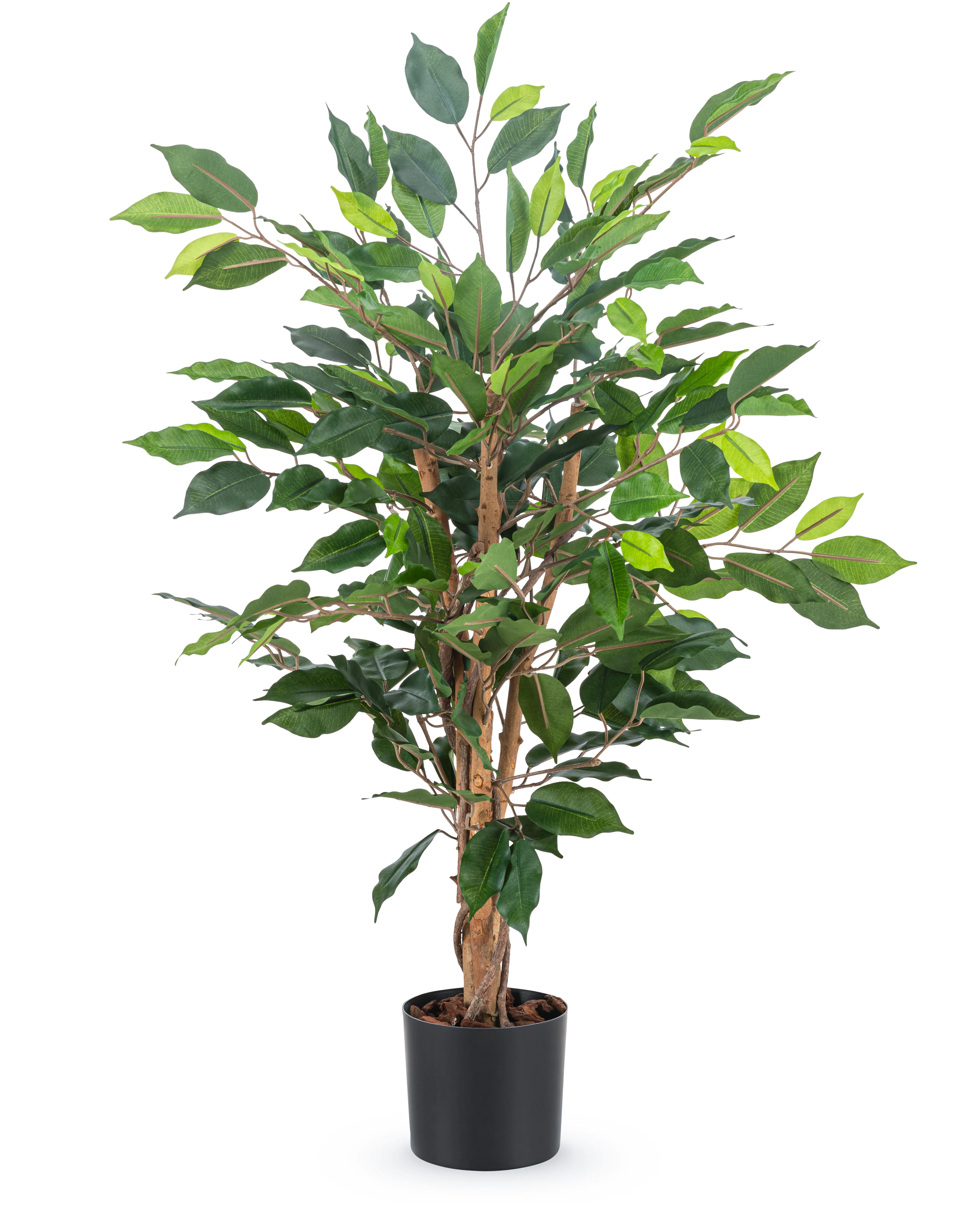 Miniatuur 1