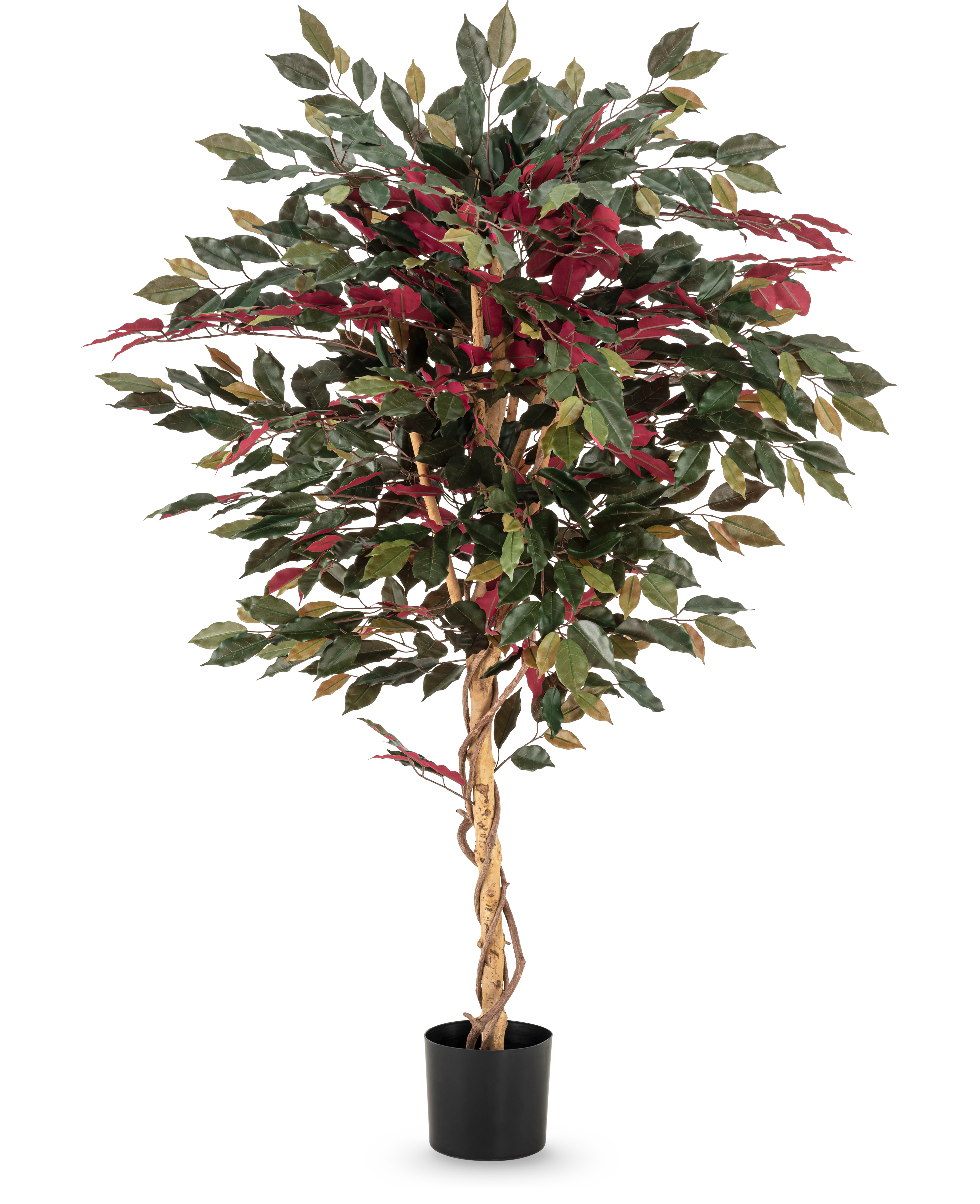 Miniatuur 1