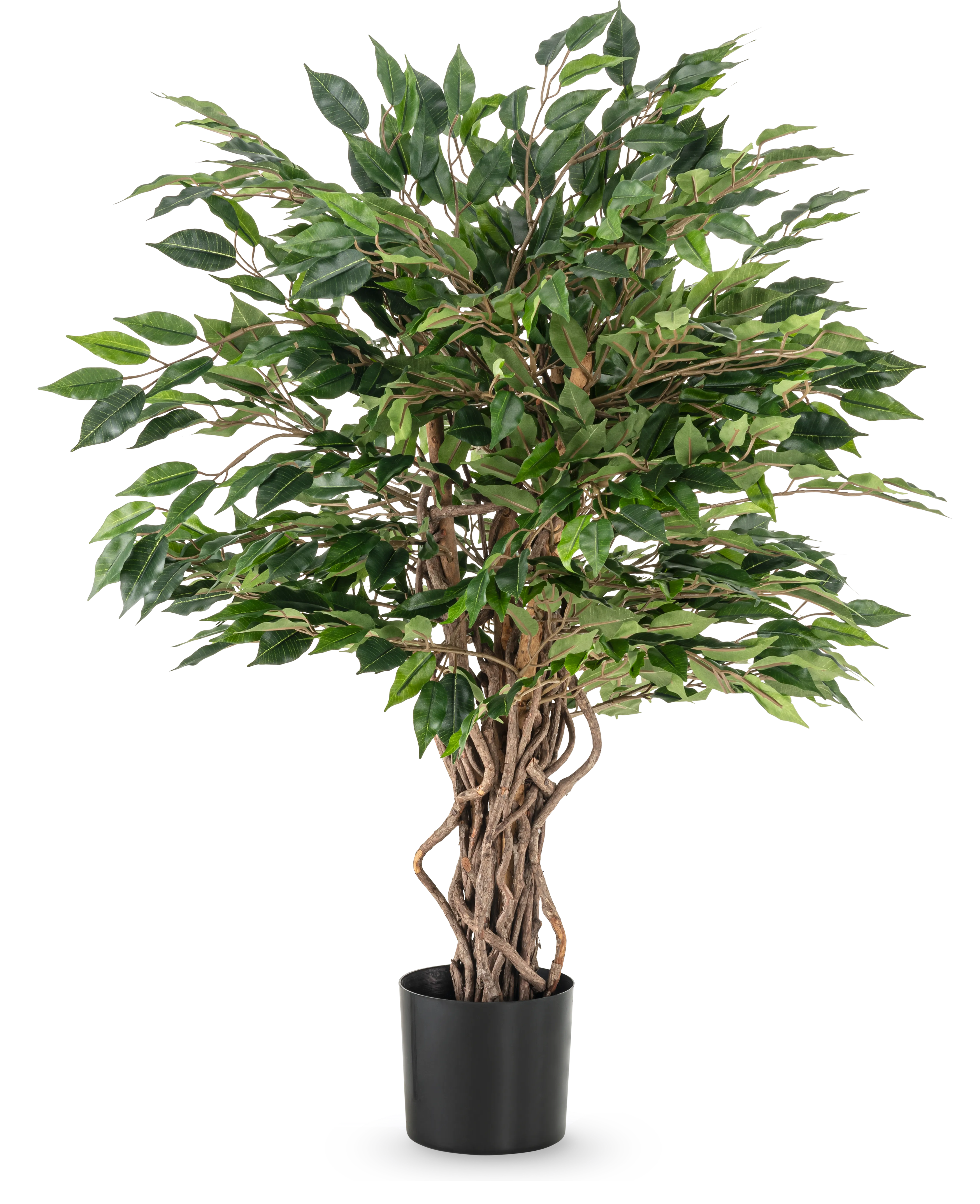 Miniatuur 1
