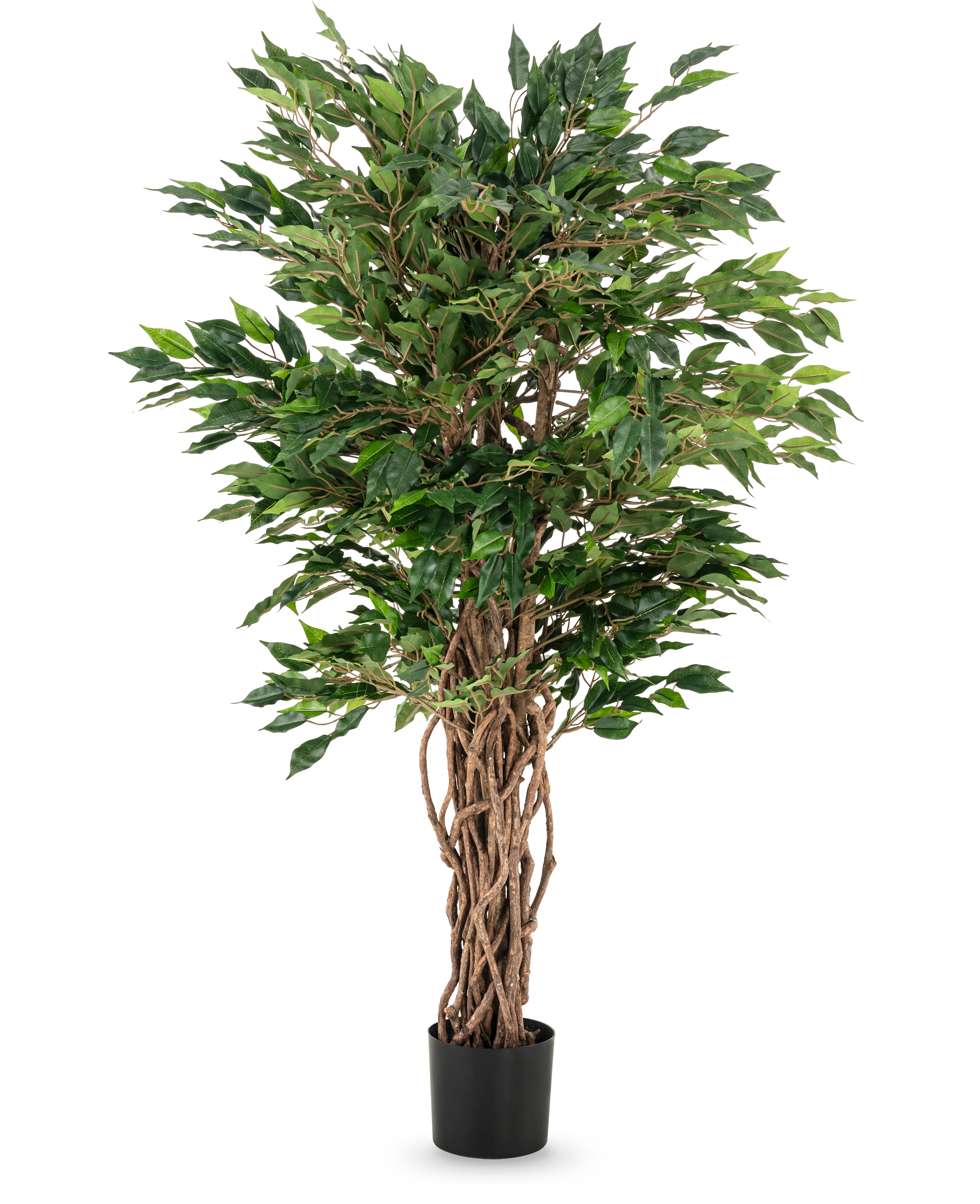 Miniatuur 1
