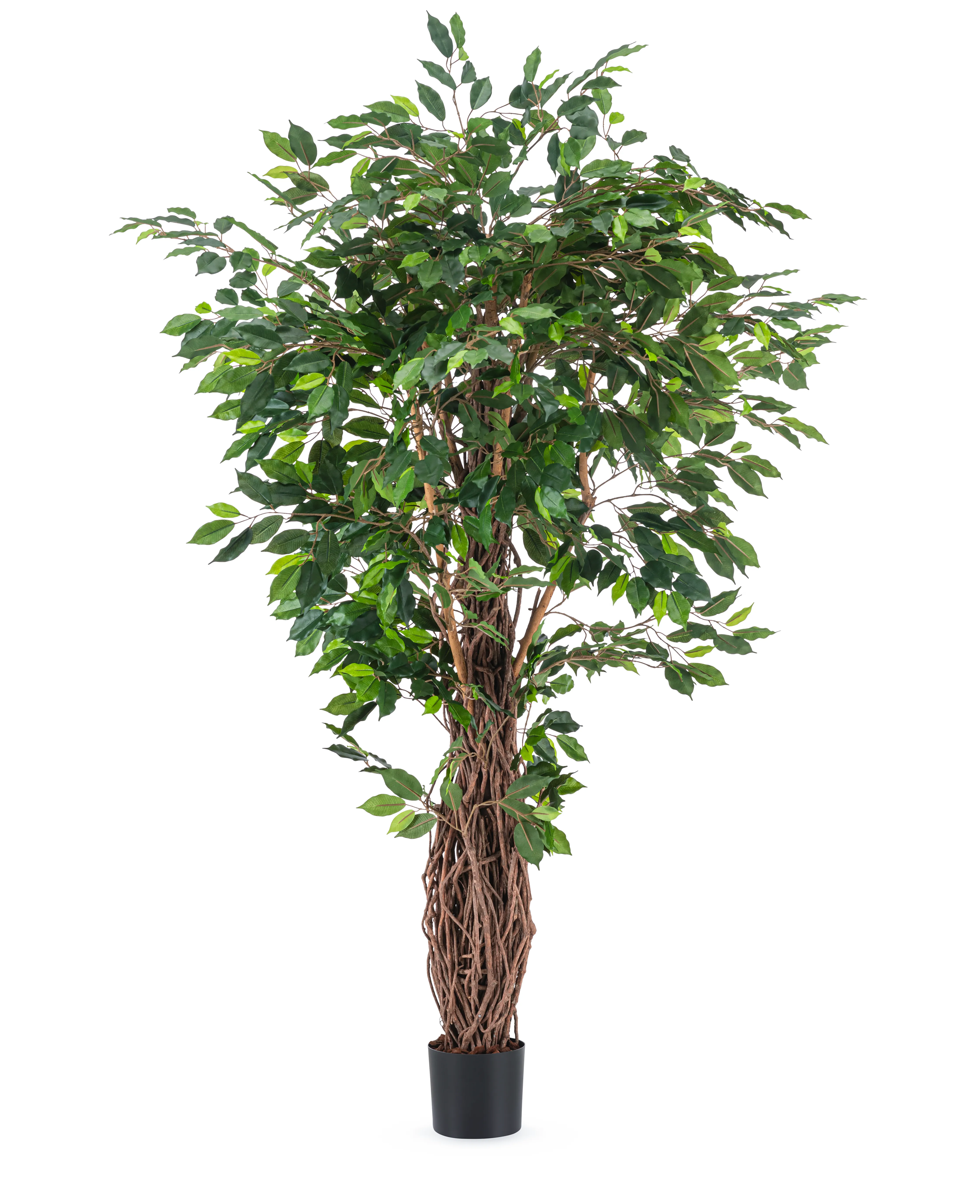 Miniatuur 1
