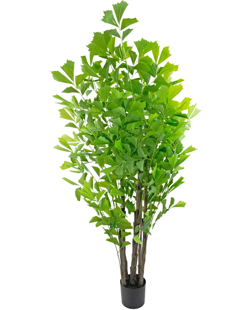 Miniatuur 1