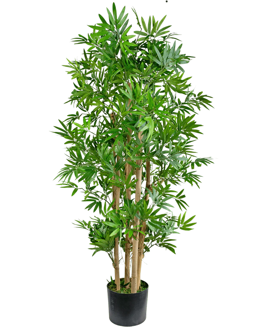Miniatuur 1