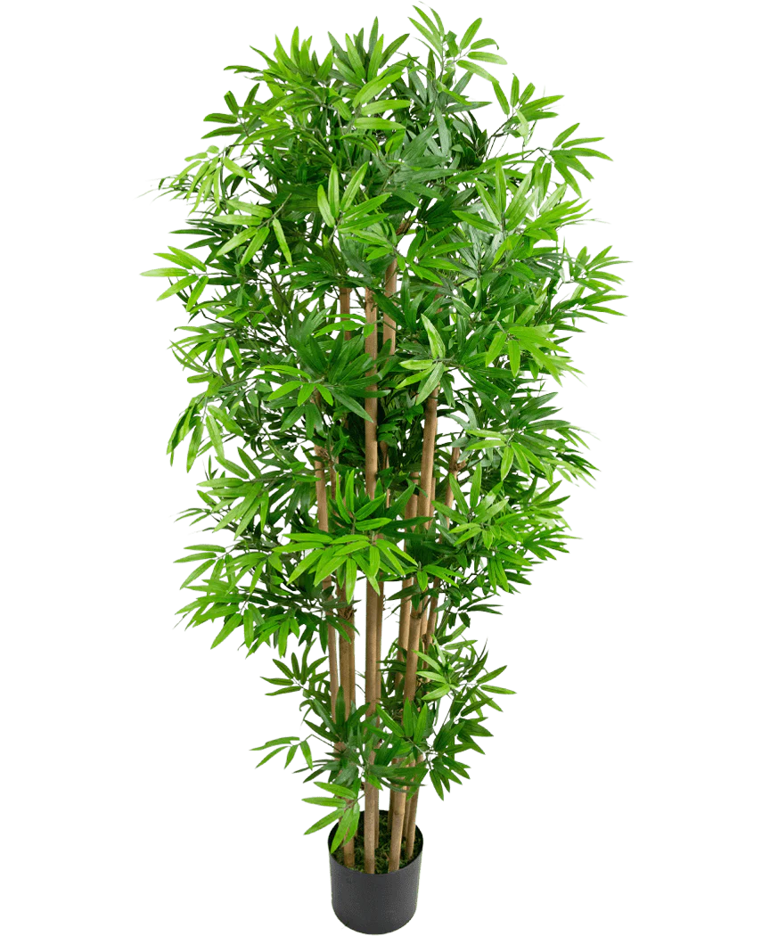 Miniatuur 1
