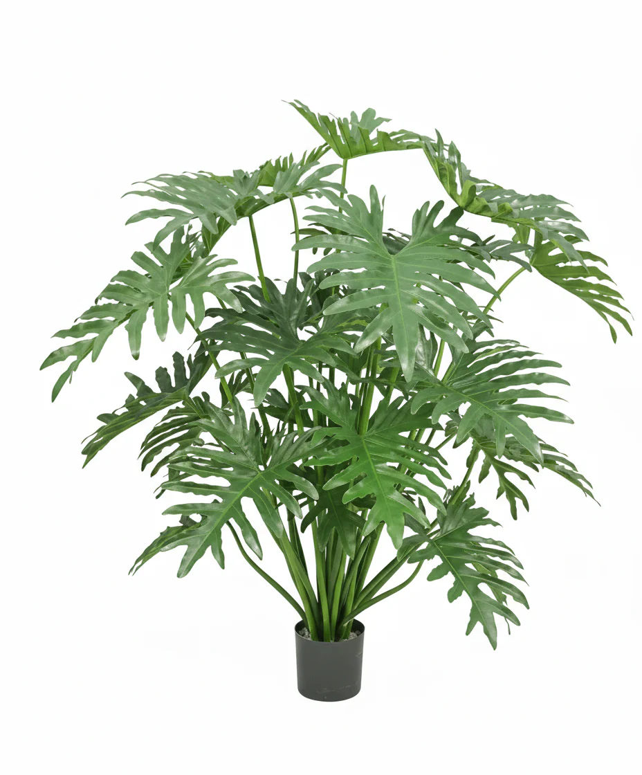 Miniatuur 1