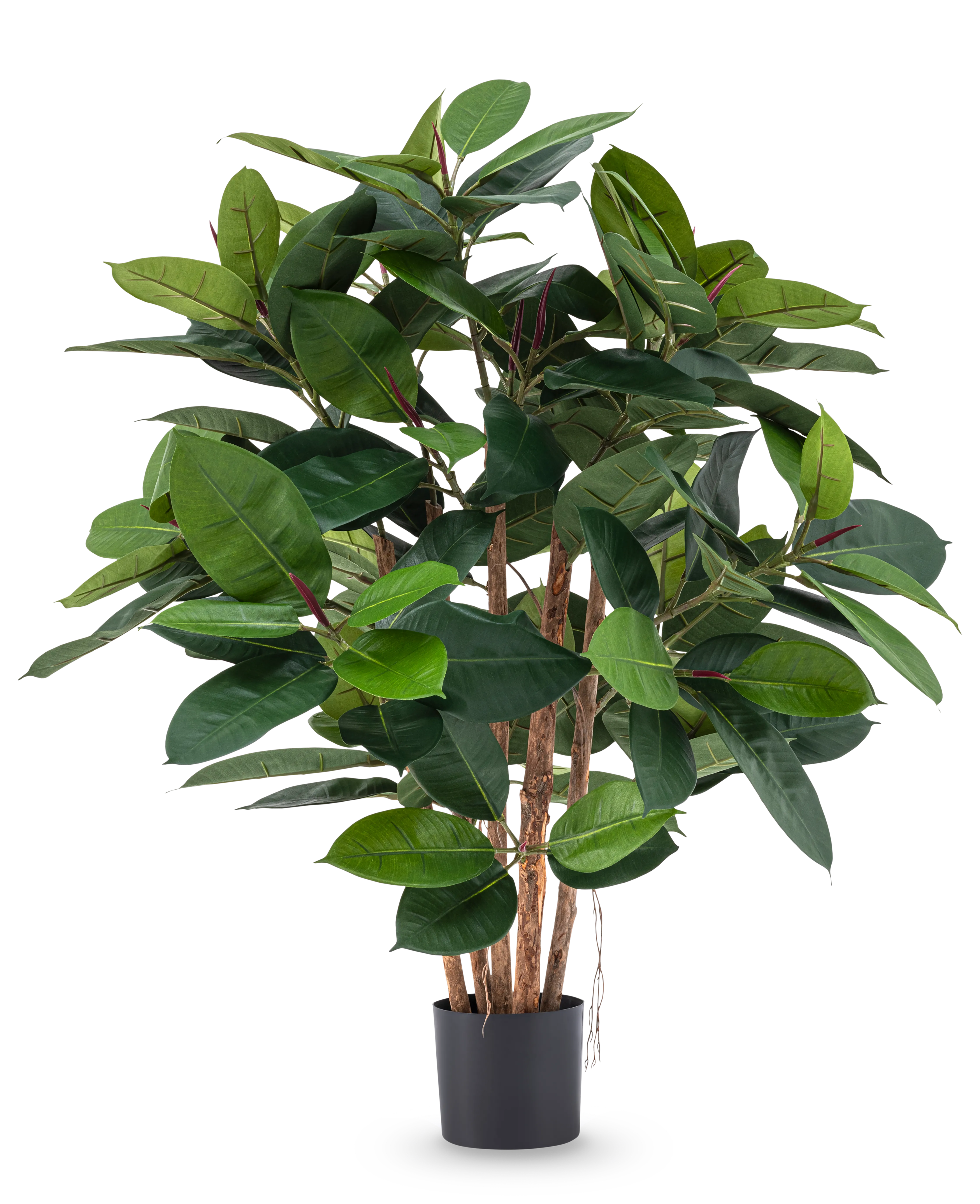 Miniatuur 1