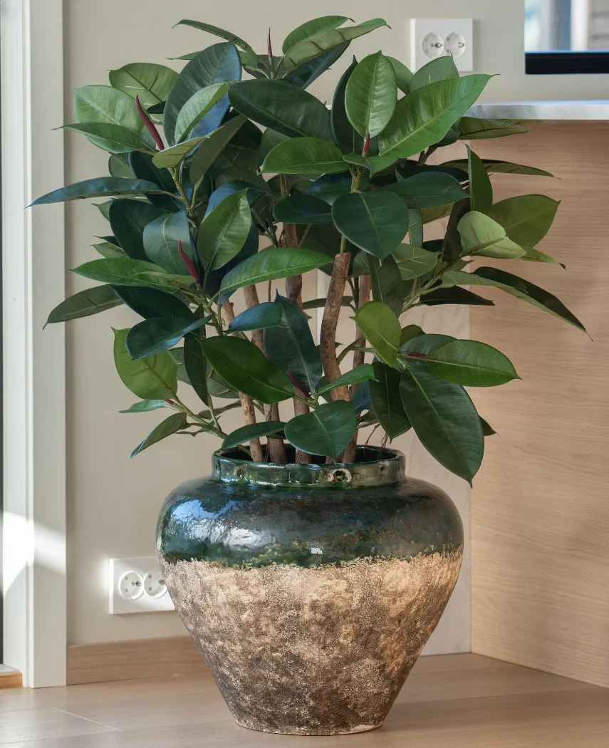 Miniatuur 2