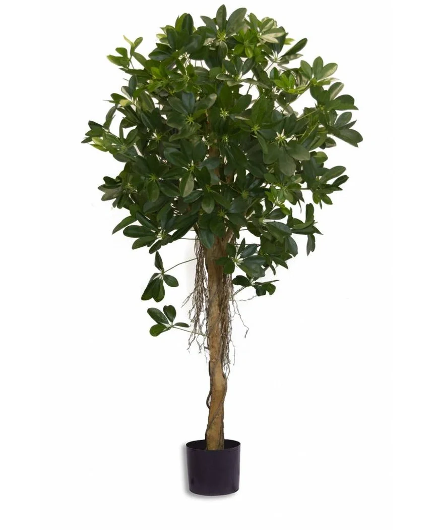 Miniatuur 1