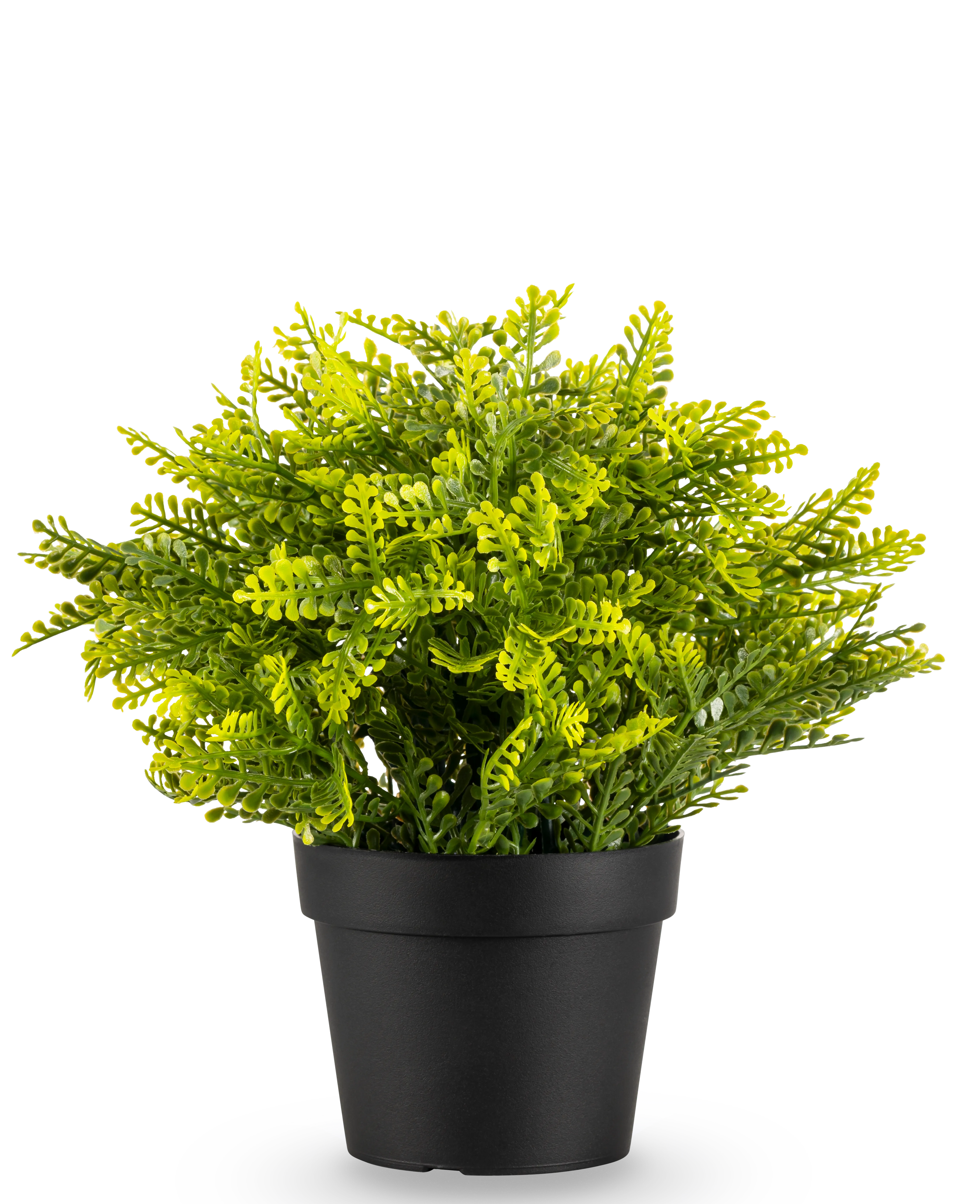 Miniatuur 1
