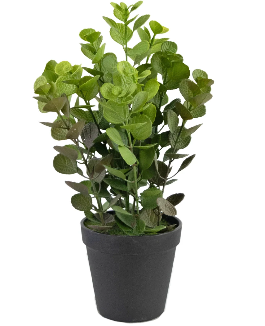 Miniatuur 1