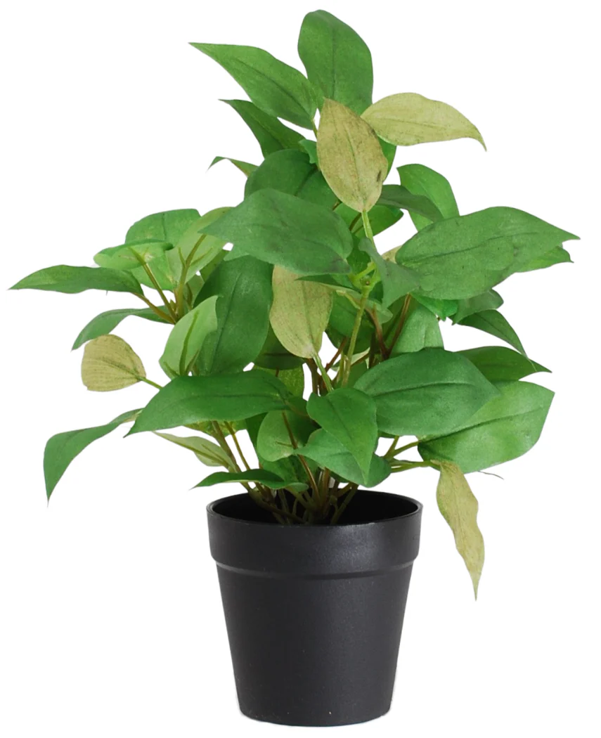 Miniatuur 2
