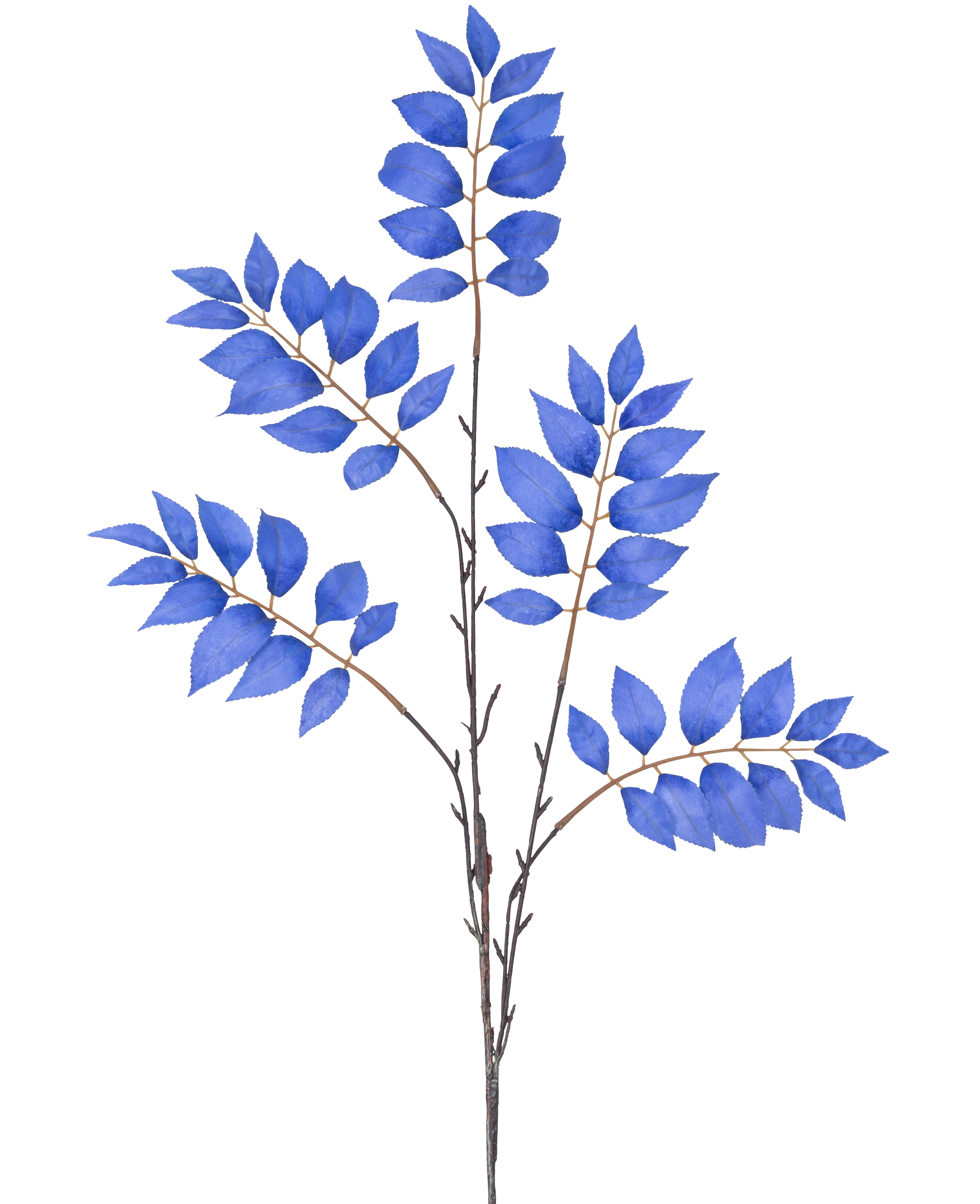 Miniatuur 1