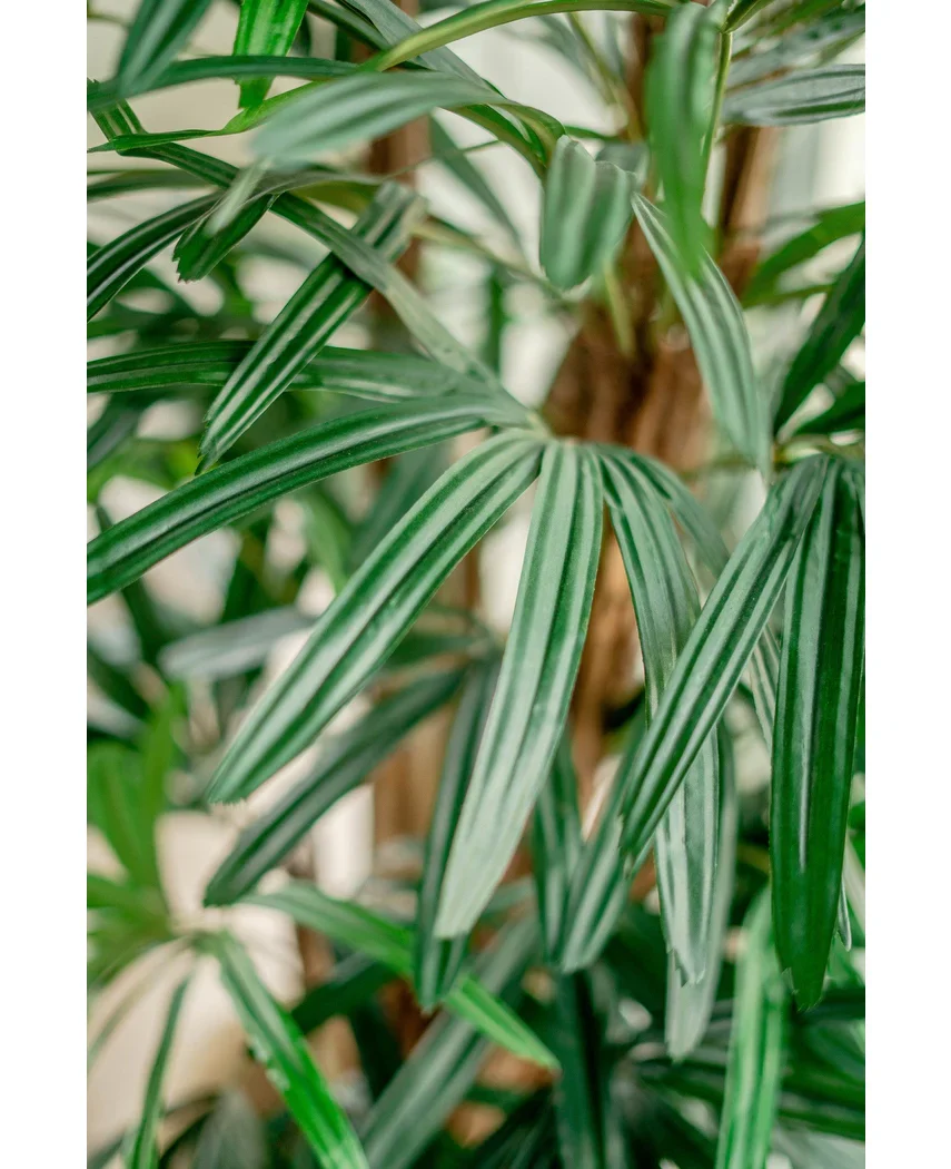 Miniatuur 2